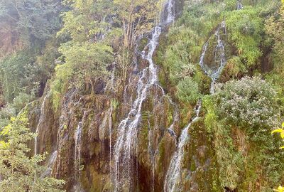 GÜNÜBİRLİK GİRESUN ORDU TURU