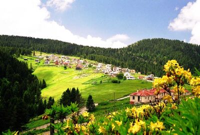 GÜNÜBİRLİK GİRESUN ORDU TURU